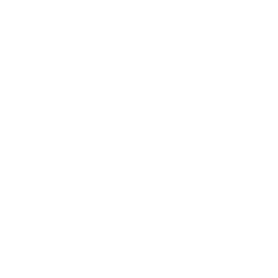 TOP TOY